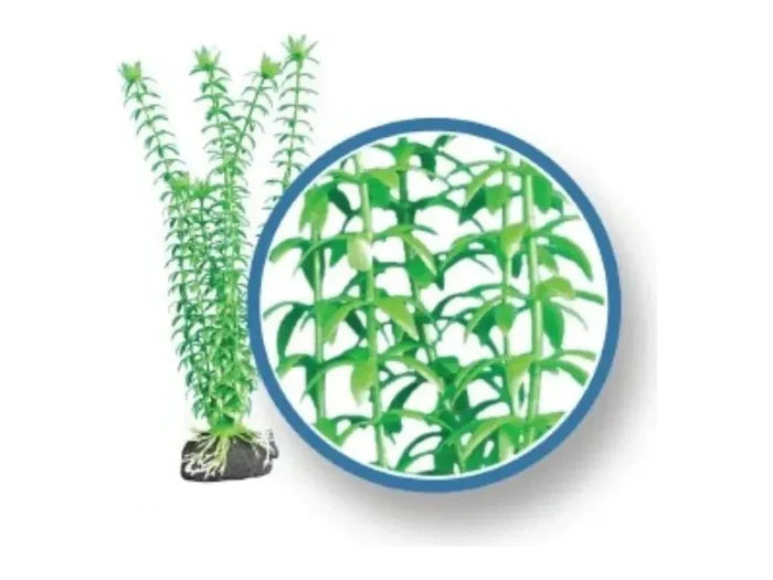 Weco Wonder Plant Freshwater Pro, Tonina 9" Fish Supplies Weco